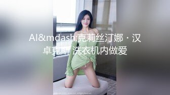 Al&mdash;克莉丝汀娜・汉卓克斯 洗衣机内做爱