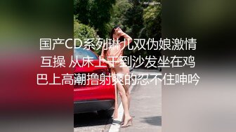 车震小骚逼