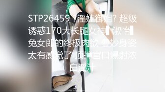 麻豆春游记兔子先生淫过年