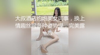 大叔酒店约炮美女同事，换上情趣丝网各种姿势操，完美露脸