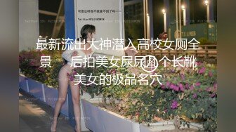 吐血推荐秀人网美乳模特尔兰酒店超大尺度私拍被摄影师用毛笔玩粉嫩小穴菊花