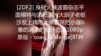 [2DF2]【小二蛋】极品大圈外围女神，肤白貌美罕见美乳，温柔甜美近景展示 [BT种子]