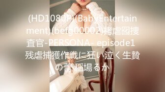 (HD1080P)(BabyEntertainment)(befg00002)拷虐囮捜査官-PERSONA- episode1 残虐捕獲作戦に狂い泣く生贄の蕾 稲場るか