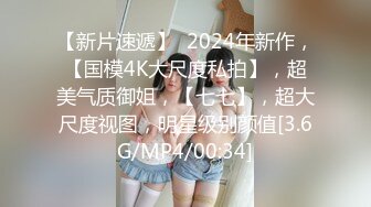 女仆主题系列第一集看热度出二三集