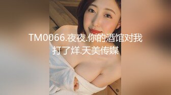 TM0066.夜夜.你的酒馆对我打了烊.天美传媒