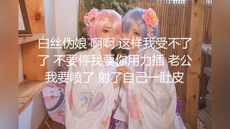 我的女装日记之勾引司机