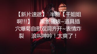 《最新顶流资源》明星气质PANS女神反差小姐姐【智贤】