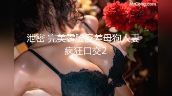 泄密 完美露脸反差母狗人妻  疯狂口交2