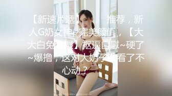 蒂蒂 办公桌下的秘书