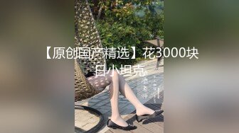 国产AV 红斯灯影像 RS027 风骚女屋主色诱打工男 莉娜