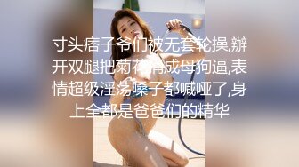 丰满的女人就是好没插几下淫水都弄湿鸡巴了