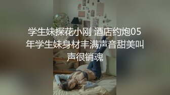 【MSD054】女秘书的性爱商谈