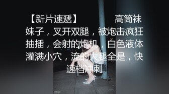 八块腹肌的窗前奶狗