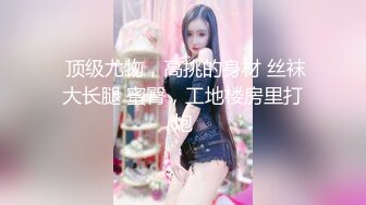 OnlyFans~混血内衣模特【ploytigerstam】23年订阅合集~亚裔极品身材~美乳情趣丝袜~大尺度私拍【495V】 (379)