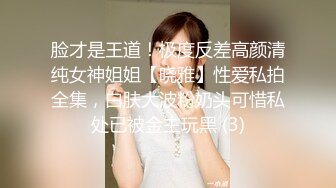 脸才是王道！极度反差高颜清纯女神姐姐【晓雅】性爱私拍全集，白肤大波粉奶头可惜私处已被金主玩黑 (3)