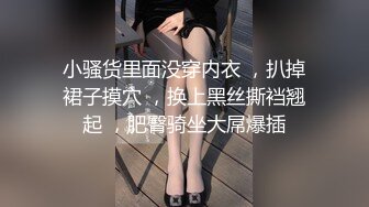 極品小妖姬黑絲女神口活一絕(VIP)