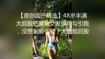 微胖女仆丝袜撤烂肥臀猛顶