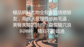 后入黑皮小狗