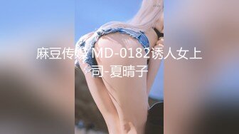 麻豆传媒 MD-0182诱人女上司-夏晴子