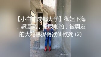 和空乘学校女神一夜情