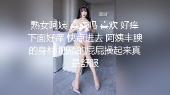 继续浪臀后入