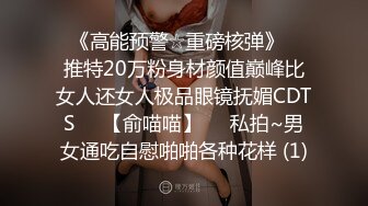 与身着赤兔服渔网袜之02行房事