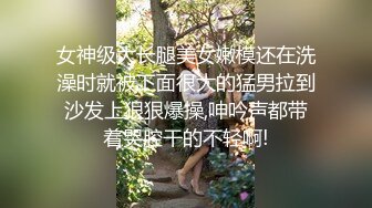 熟女热系列1-网袜骚熟性感美臀后入