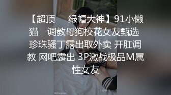 【超顶❤️绿帽大神】91小懒猫✨ 调教母狗校花女友甄选 珍珠骚丁露出取外卖 开肛调教 网吧露出 3P激战极品M属性女友